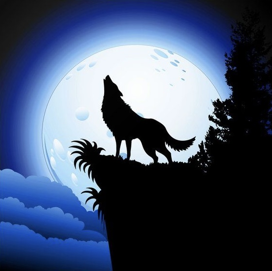 Wolf Pack Customs